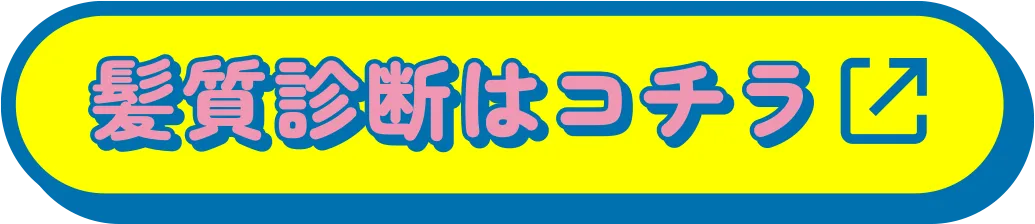 髪質診断はコチラ