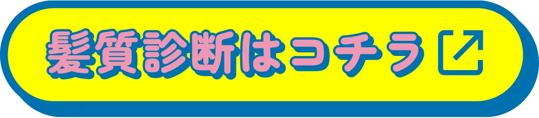 髪質診断はコチラ