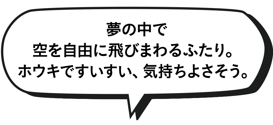 夢の中で空を自由に飛びまわるふたり。ホウキですいすい、気持ちよさそう。